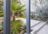 Plantings: Jason Dewees at Flora Grubb Gardens Photo of Urban Garden modern home