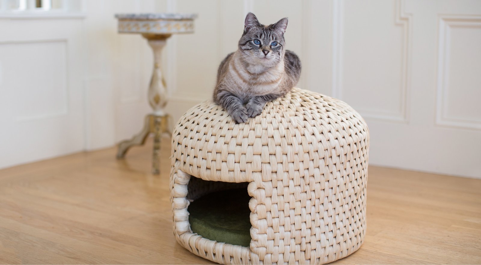 Enchanting straw cat house Dwell