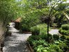 Cottage Garden in May, Village Setting, Cedar Edging, Crushed stone pathway, lush outdoor living space Photo 10 of The Salt Box modern home
