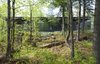 Modern home with Outdoor, Trees, Slope, Boulders, Grass, and Shrubs. Frontenac House - Exterior Photo 3 of Frontenac House