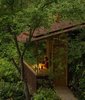 This tiny studio fits quietly into the surrounding forest. Photo of Studio / Bunkhouse modern home