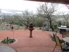 Looking north at backyard mountains and mesquites Photo 11 of Caliente Creek Ranch modern home