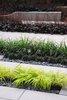 Planting Strips with Stone Pebbles & Wall Photo 2 of Modern Linear Courtyard modern home
