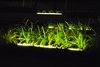 LED Light Strips Embedded in Stone Photo 5 of Modern Linear Courtyard modern home