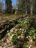 Modern home with Outdoor, Flowers, Slope, and Trees. Woodland setting Photo 7 of 966 Finch Avenue Pickering
