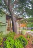 Rainwater Harvesting - Ong Jars, add a smart and stunning accent to a home. Photo 2 of 301 Lilac Ln San Antonio TX 78209-6160 modern home