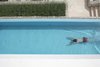 View of the pool Photo 8 of House U modern home