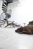 Spiral to residence and rooftop terrace, with Max. Photo 10 of Studio GoodLight modern home