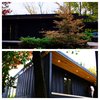Exterior of the House (before railing) Photo 7 of The Hall Residence modern home