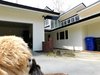 Modern home with Exterior, Gable RoofLine, Shingles Roof Material, House Building Type, Wood Siding Material, Hipped RoofLine, and Shed RoofLine. Dogues. Photo 9 of The McCarthy Project