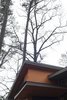 Atlanta Design Economy Credits
Architecture: Xmetrical
General Contractor: PB Construction Photo 3 of Overbook modern home