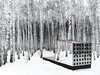 DISAPPEAR RETREAT integrates the components for triple-zero performance into an almost invisible, ethereal state. The design is light, transparent, and connected to the surroundings, dissolving into the landscape where the building form is compact and the glass takes on the identity of the site in its mirrored reflections (transparent ultraviolet color prevents animal collision). A spotted pattern of thin-film PV in the south glass wall generates all the energy needs from the sun and camouflages the building amongst the trees like a quiet forest animal. Weathered wood softens the design and blends with the landscape. As evening approaches the clear glass roof emits a warm, welcoming glow. Photo 2 of Disappear Retreat modern home