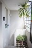 The halway upstairs gets natural light during the entire day. Photo 14 of Artigas modern home