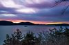 Spectacular Sunrises - Watch the San Juan Ferries Go By Photo 11 of Sea Oaks: Private Gated Compound on 4+ Acres modern home