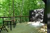 Summer Exterior Shot Photo 7 of SHAK Cottages modern home