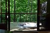Summer Exterior Shot Photo 9 of SHAK Cottages modern home