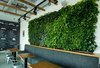 Green Wall Accent - Biophilic Design Photo of Restaurant Renovation modern home