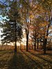 Modern home with Outdoor, Back Yard, and Trees. Sunset on cornfield Photo 10 of Prévert