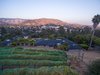 Vineyard & Panoramic City Views Photo 3 of The Dettmer House - 2 Acres in Downtown modern home