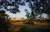 Modern home with Exterior, House Building Type, Glass Siding Material, Shed RoofLine, Flat RoofLine, and Wood Siding Material. Ryall deftly integrated the home into its natural setting. Photo 6 of Orient House V