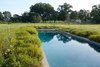 Modern home with Outdoor, Large Pools, Tubs, Shower, Salt Water Pools, Tubs, Shower, and Swimming Pools, Tubs, Shower. Tall indigenous wetland grasses grow fecund, right up to the border of the saltwater swimming pool. Photo 8 of Orient House V
