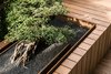 Modern home with Outdoor, Trees, Hardscapes, Gardens, Small Patio, Porch, Deck, Metal Patio, Porch, Deck, and Wood Patio, Porch, Deck. Sunken bonsai planter Photo 10 of T House