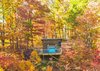 Cabin with the glass garage door open Photo of Pisgah Highlands Cabin modern home