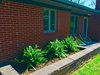 Front yard ferns Photo 5 of Gayfields modern home