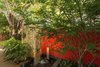 A fountain should always look good, even when dry. The bold red wall next to the natural stone veneer wall creates an interesting juxtaposition while a sculptural airy tree adds further interest while still maintaining the ability to see through it. Photo 10 of Von Phister modern home