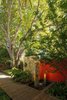 Modern home with Outdoor, Back Yard, Side Yard, Garden, Trees, Shrubs, Gardens, Hardscapes, Walkways, Wood Patio, Porch, Deck, Decking Patio, Porch, Deck, and Landscape Lighting. A garden feels larger if one is able to draw the eye up and over the property line. A tall tree draws your eyes upwards, making the space feel larger especially when used at the edge of the property. Photo 9 of Von Phister