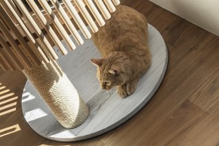 The marble base stabilizes the tree, and the choice of material was inspired by designers seeing a cat stretched out on a marble floor to cool itself. The post is wrapped in Japanese-made hemp cord, which is ideal for cats to sharpen their claws and can be replaced when it gets tattered.