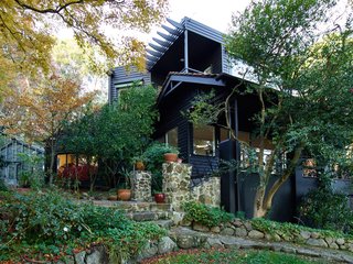 The home’s exterior is painted Dulux Black so as to sit in contrast with the verdant setting.