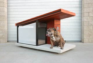 Rah: Design was founded by Rahil Taj as a multidisciplinary design and fabrication studio in Los Angeles. The MDK9 Dog Haus pairs Brazilian teak and powder-coated steel with a concrete base. Taj left no detail unconsidered in the design, partnering with Modern House Numbers for customizable name plaques, as well as Jax & Bones for luxe memory foam bedding.