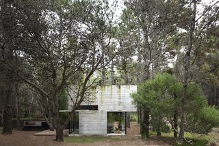 A glass enclosure at the front corner visually lightens up the concrete massing, while bringing in natural light filtered through the surrounding trees.