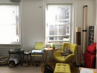 Freestanding cat furniture cluttered the small space.