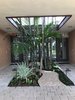 Modern home with Outdoor, Trees, Front Yard, and Hardscapes. Preexisting clumping cabada palms were retained, underplanted with shade-loving mondo grass and native wart fern, and a winding path of crushed shell was added for maintenance access. Photo 3 of Mid-Century Modern Bungalow