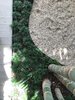 Modern home with Outdoor and Front Yard. A detail of the entry garden shows ringed cabada palm trunks with their colors echoed by the brilliant white crushed shell and deep green mondo grass. Photo 4 of Mid-Century Modern Bungalow