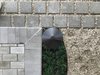Modern home with Outdoor, Landscape Lighting, and Hardscapes. Careful attention to detail marks the four way intersection of the entry porch, low voltage lighting in a bed of mondo grass, crushed shell maintenance path, and driveway with concrete pavers set in crushed shell. Photo 5 of Mid-Century Modern Bungalow