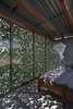 Modern home with Wood Counter, Coffee Tables, Wood Cabinet, Metal Cabinet, Concrete Floor, Chair, Table, Trees, Shrubs, Small Patio, Porch, Deck, Exterior, Metal, Folding Door Type, Metal Counter, Living Space Room Type, Bed, Accent Lighting, and Bedroom. Interior view towards the south Photo 10 of The Olive Tree House