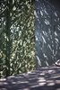 Play of shadows Photo 12 of The Olive Tree House modern home