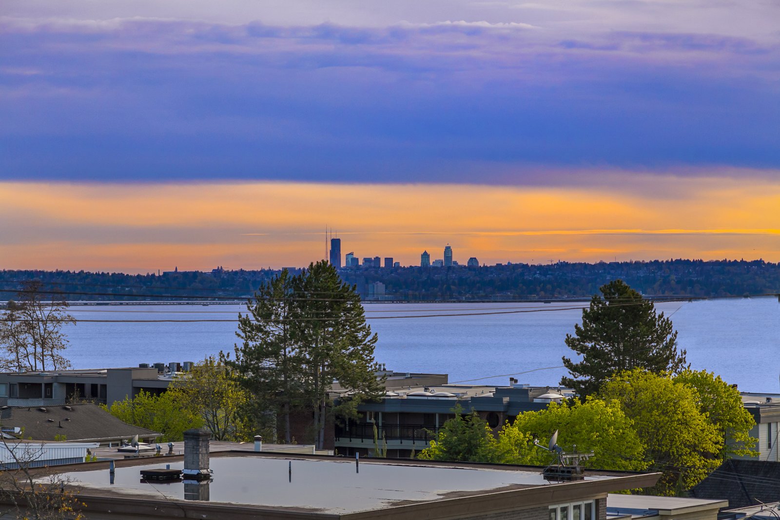 Photo 3 of 9 in Downtown Kirkland Modern by Austin Schneider Dwell