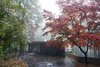 Modern home with Outdoor, Front Yard, Trees, Gardens, Concrete Fences, Wall, Horizontal Fences, Wall, Vertical Fences, Wall, and Retaining Fences, Wall. Fall colors streetside Photo 5 of Kalamazoo Post and Beam Restoration