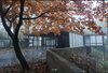 Modern home with Exterior, House Building Type, Mid-Century Building Type, Concrete Siding Material, Wood Siding Material, and Flat RoofLine. Front maple just turned. Photo 9 of Kalamazoo Post and Beam Restoration