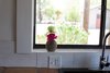Modern home with Kitchen, Tile Counter, and Porcelain Tile Backsplashe. kitchen window with view of the well house Photo 13 of PILGRIM HOUSE