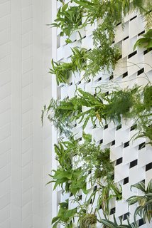 Detail view of the fern green shower wall.