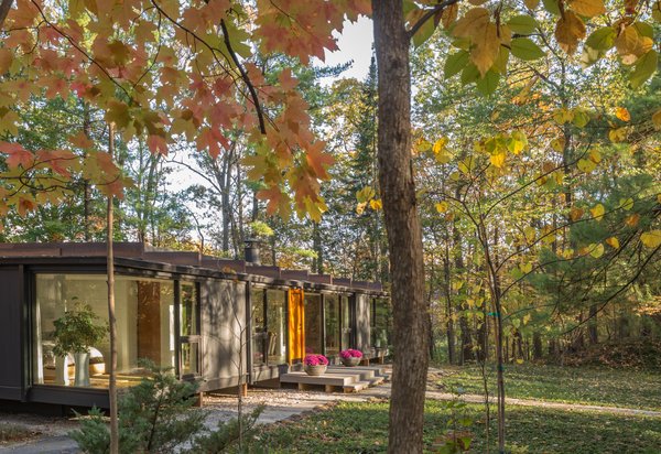 With large spans of glazing, this transparent home fully embraces its forested setting.
