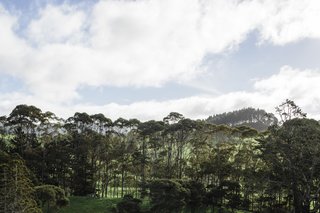 Forested lands and rolling hills surround this modern dwelling. Acres of woods and beaches—and everything from hiking and biking to strolling along the coastline—are within arm's reach.
