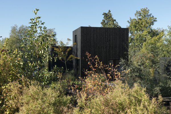 The simple, timber-clad masses of Tiny Holiday Home delicately settle into the surrounding foliage. 