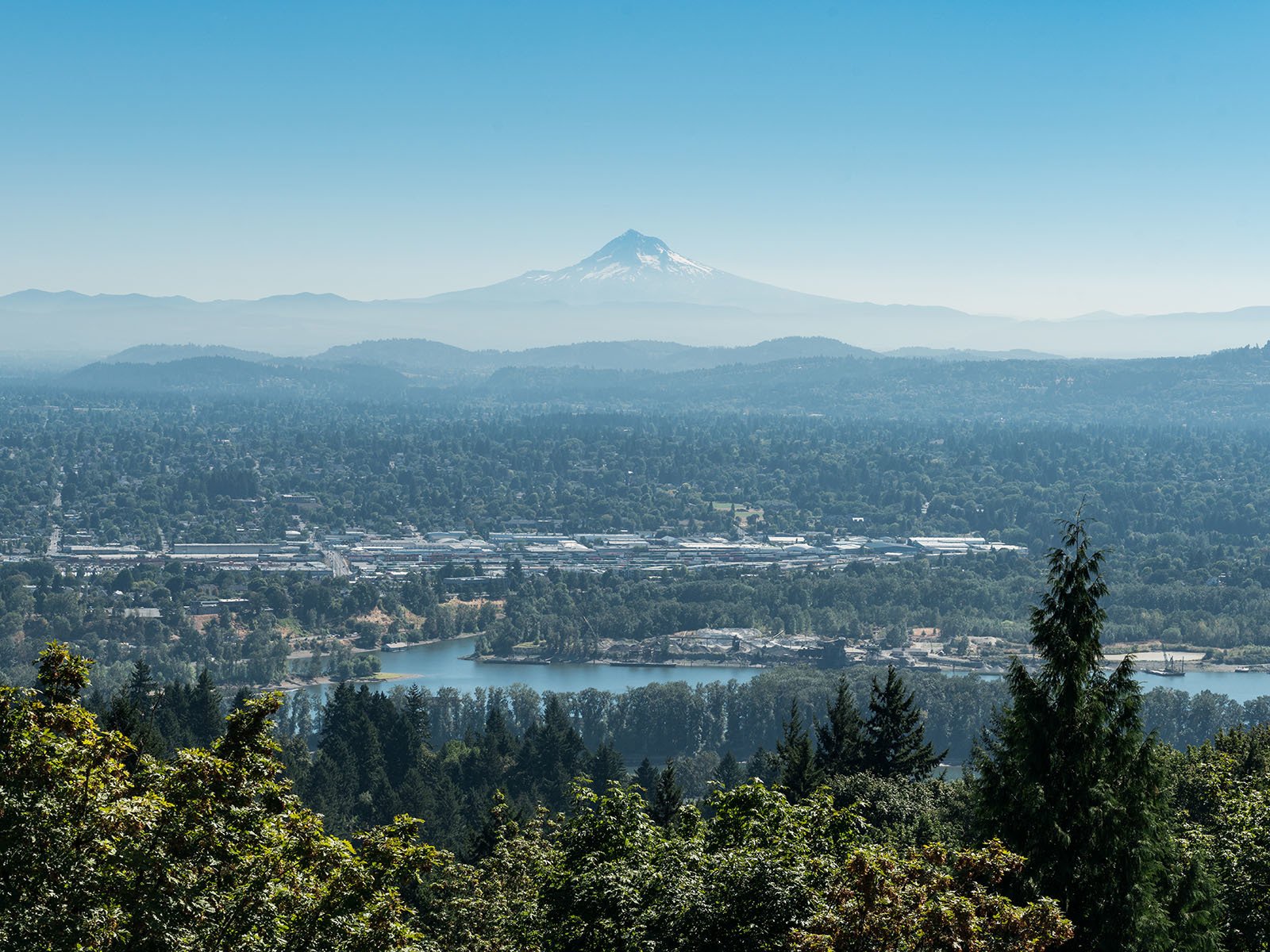 Photo 6 of 20 in An Iconic Portland Home With Sweeping Mountain Views