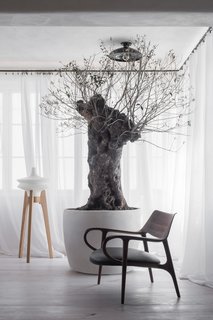 A special olive tree that’s more than 200 years old is planted in the glazed veranda. The designer decided to incorporate it into the project after being inspired by the homeowner's passion for trees.